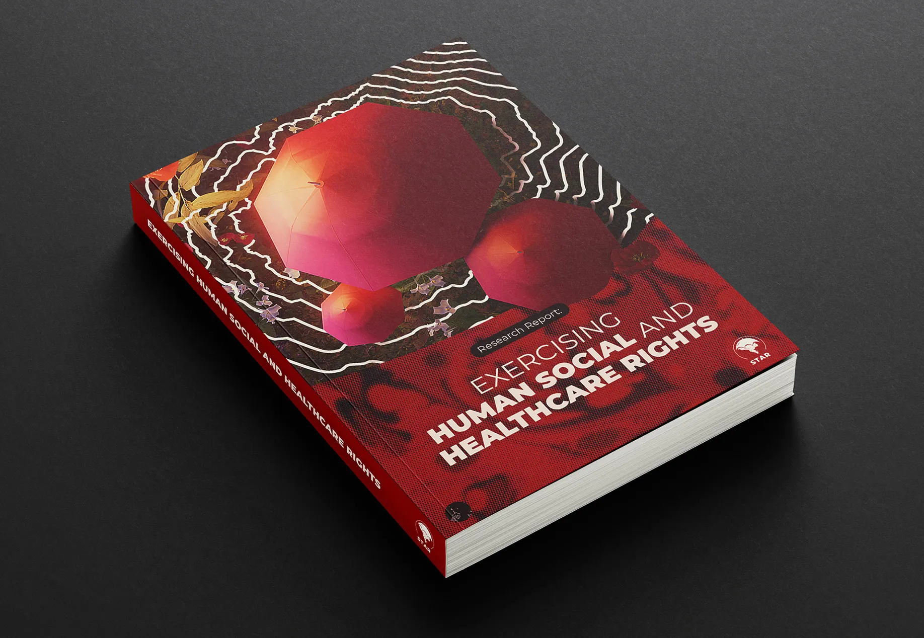 Healthcare access report design